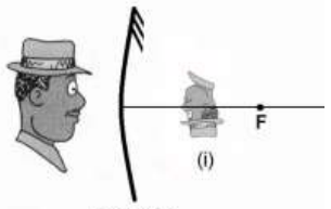 Figura da alternativa D