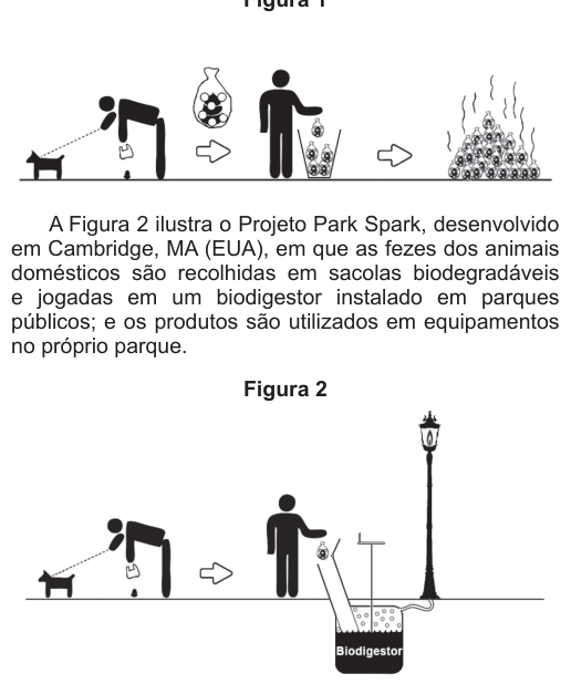 Figura da questão