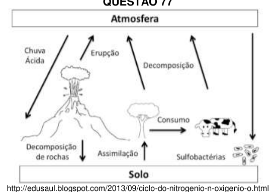 Figura da questão