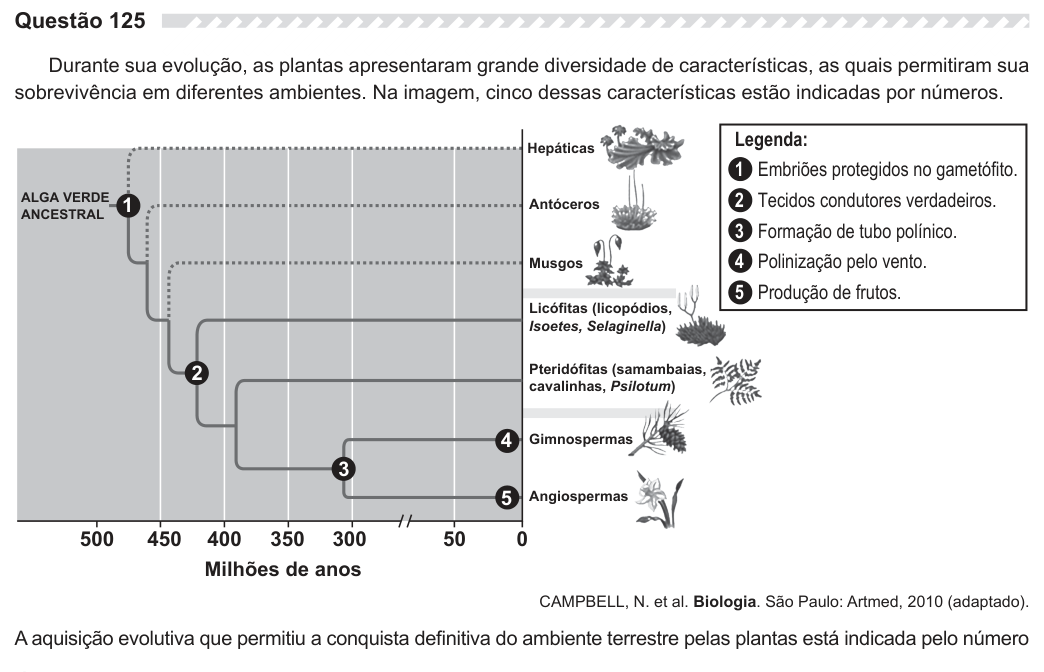 Figura da questão
