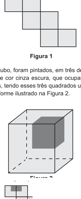 Figura da questão