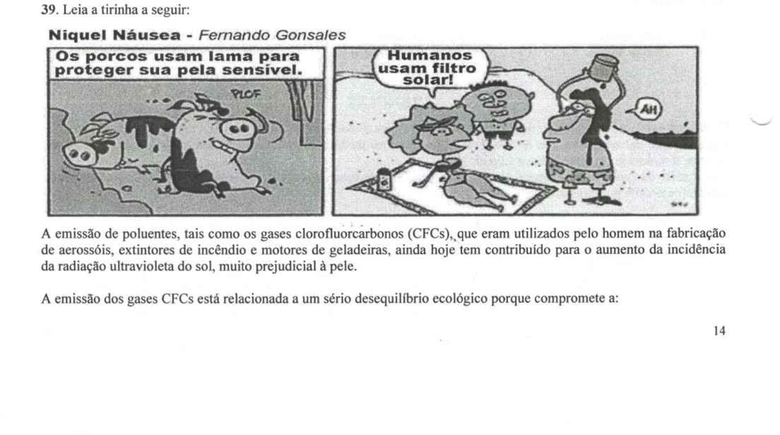 Figura da questão