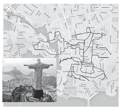 Figura da questão