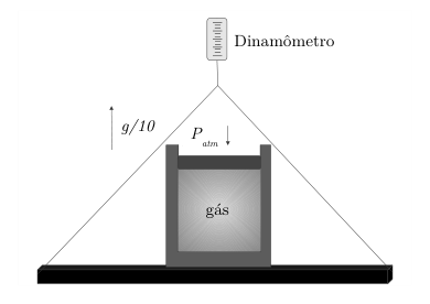 Figura da questão