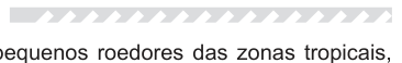 Figura da questão