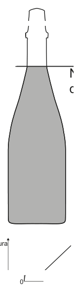 Figura da questão