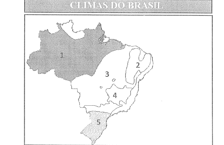 Figura da questão