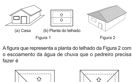 Figura da questão