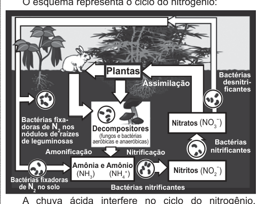 Figura da questão
