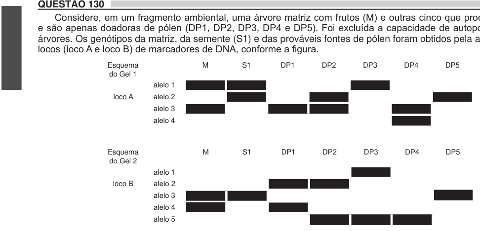 Figura da questão