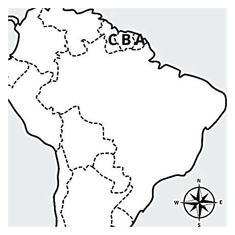Figura da questão
