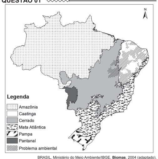 Figura da questão