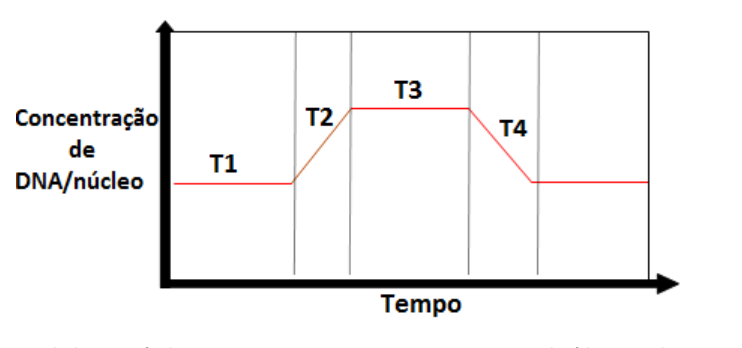 Figura da questão