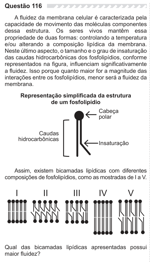 Figura da questão