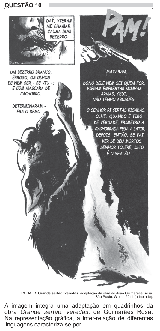 Figura da questão