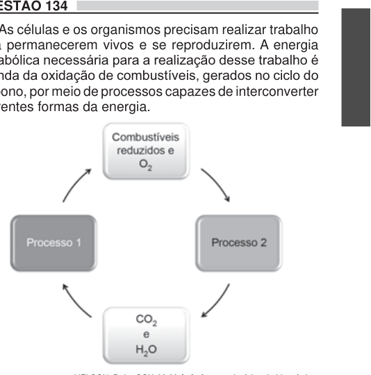 Figura da questão