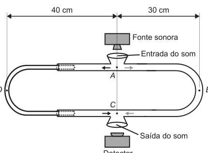 Figura da questão