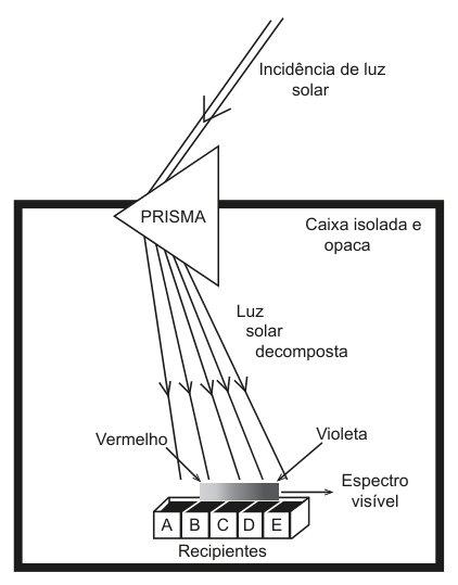 Figura da questão