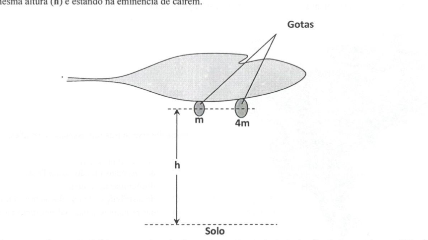 Figura da questão