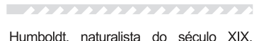 Figura da questão