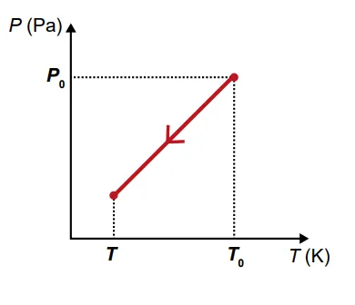 Figura da alternativa E