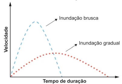 Figura da questão 53