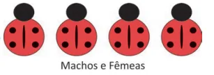 Figura da alternativa C
