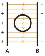 Figura da alternativa B