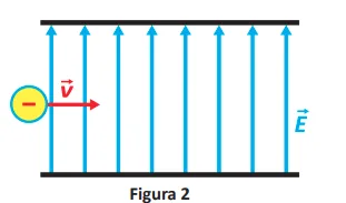Figura da questão 113