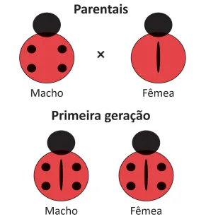 Figura da questão 107