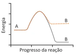 Figura da alternativa B