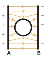 Figura da alternativa E