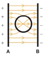 Figura da alternativa D