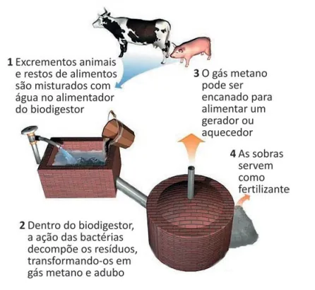 Figura da questão 111