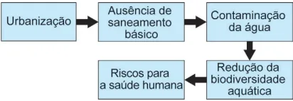 Figura da questão 104