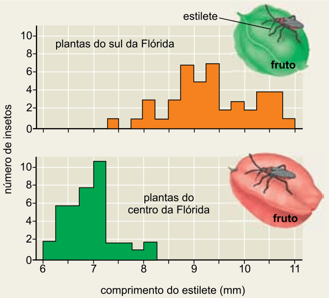 Figura da questão