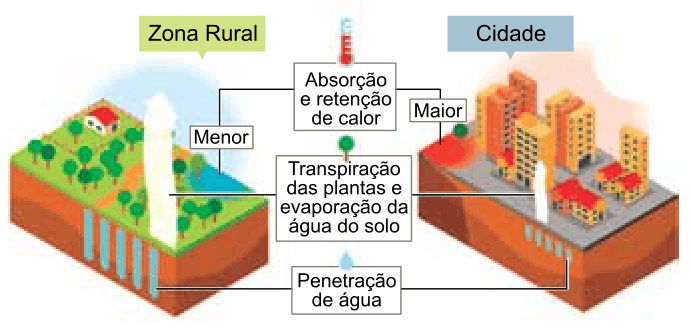Figura da questão