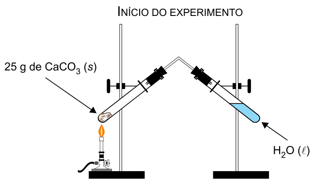 Figura da questão