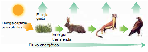 Figura da questão