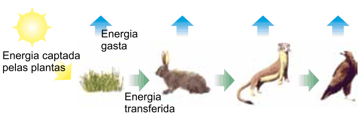 Figura da questão