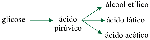 Figura da questão