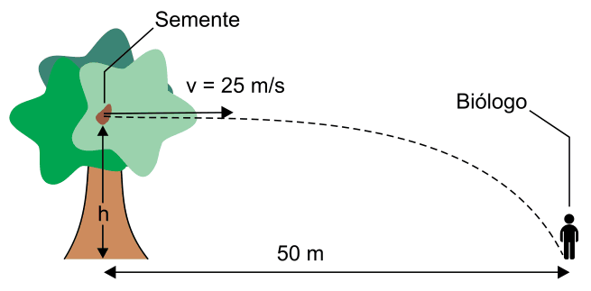 Figura da questão