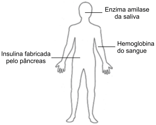 Figura da questão