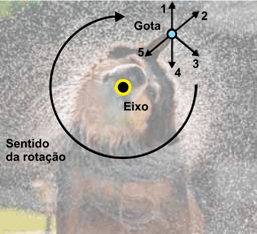 Figura da questão