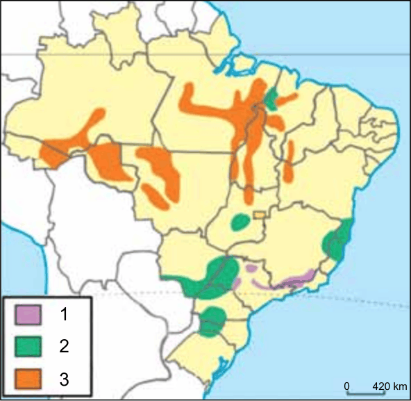 Figura da questão