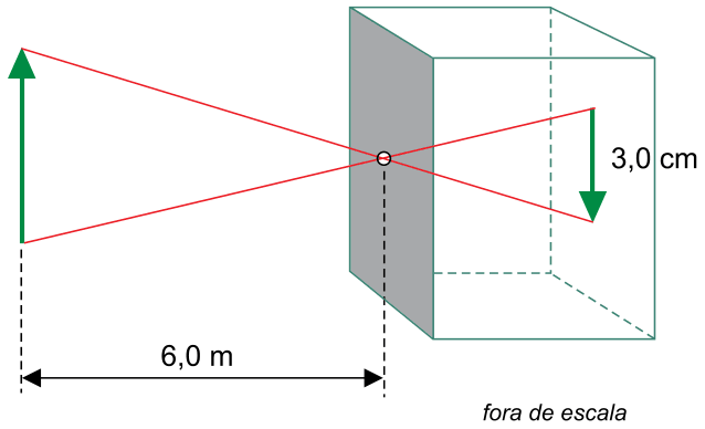 Figura da questão