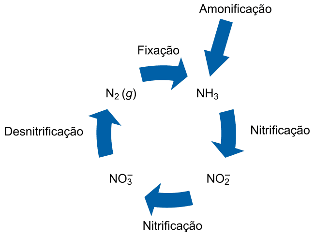 Figura da questão