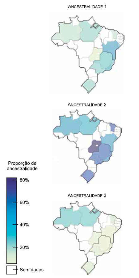 Figura da questão