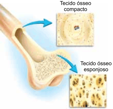 Figura da questão