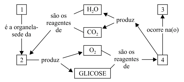 Figura da questão